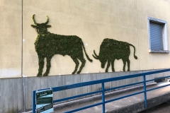 viva_cité 2
