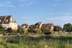 viva_cité 3