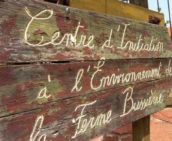 Cause-Café au CINE de Bussierre : le numérique et l'écologie : une convergence possible ?