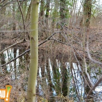 Le canal des Français en cale sèche ?