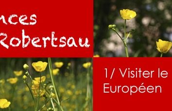 Vacances à la Robertsau : visiter le quartier Européen !