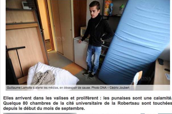 Cité universitaire de la Robertsau : « Horreur, des punaises » Article DNA
