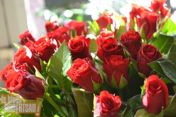 Fleuriste Au Gré du Vent  : leurs conseils pour bien choisir son bouquet à la Saint Valentin