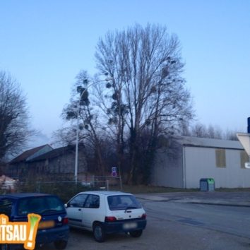 Hangars de LANA rue de l'Anguille : le permis de démolir est affiché