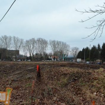 Ça ratiboise sec et la rue Toreau (bientôt) en double sens