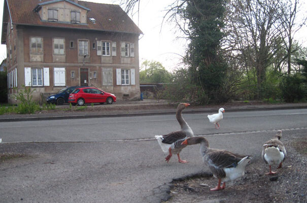 Positivons ! (leçon n°2)