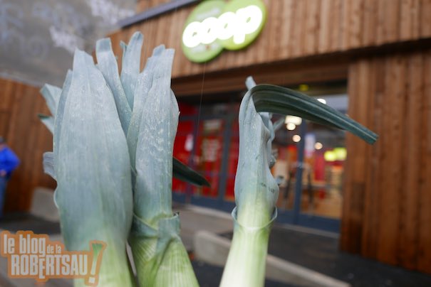 nouvellecooprobertsau201115 4