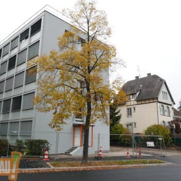 Cité universitaire de la Robertsau : Les petites bêtes toujours à la une
