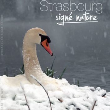 Strasbourg signé nature, le livre de Bernard Irrmann est disponible