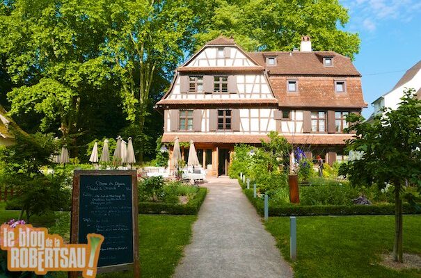 Commerces à la Robertsau : Du Côté de Chez Anne, Coop et Cité de l&rsquo;Ill