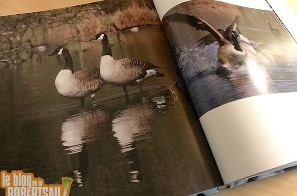 Jeu-Concours "Strasbourg Signé nature" : et le gagnant est…