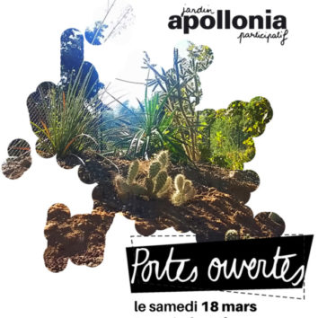 Le jardin participatif d'Apollonia