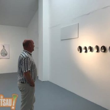 Exposition de l'artiste islandaise Mireya Samper : Kjarni (au cœur des choses)