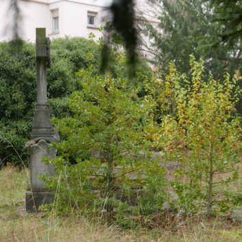 Tombes de la famille de Pourtalès : la Ville va intervenir