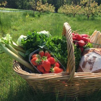 Jardin de Marthe : les légumes et les fruits sont maintenant à portée de clic !