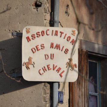 8ème édition de la journée du bien-être du cheval le 9 juin 2019