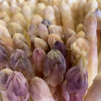 Asperge 2019 : le délice du printemps alsacien arrive à la Robertsau