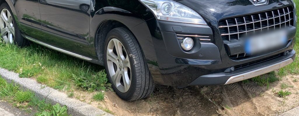 Garés comme des merdes : c&rsquo;est officiel, la maladie court toujours à la Robertsau.