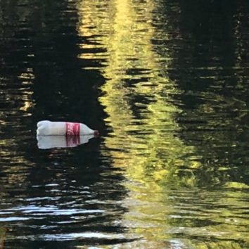 Les déchets, ça suffit !