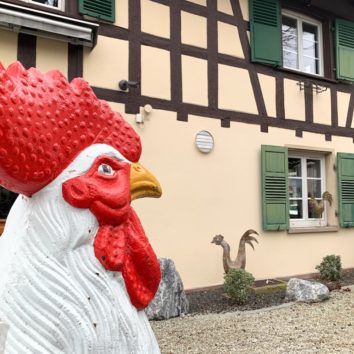 Coq Blanc : l'adresse que recommande votre palais
