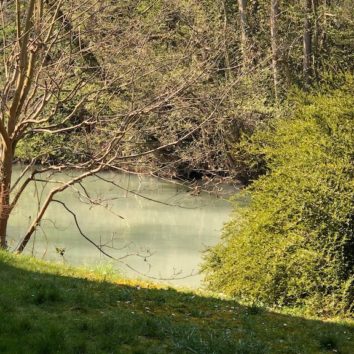 La couleur inquiétante du Muhlwasser