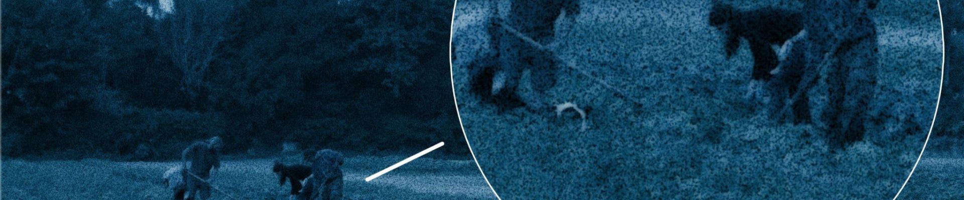 Confinement : on aurait aperçu des maraîchers de retour à la Robertsau