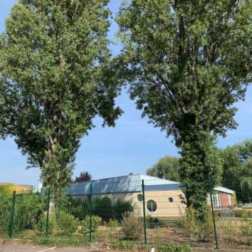 Nouveaux horaires pour les piscines de la Robertsau et du Wacken