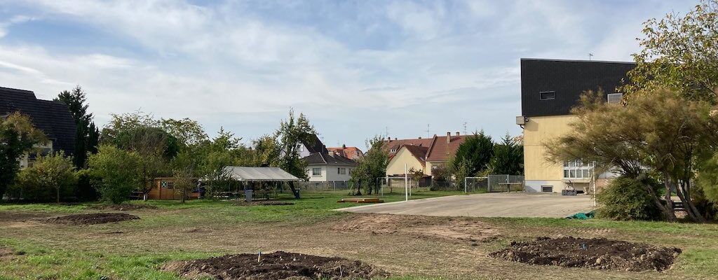 Les arbres de l&rsquo;Escale font leur trous