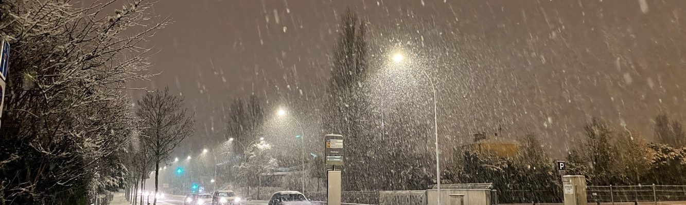 [Photos] Il neige sur la Robertsau
