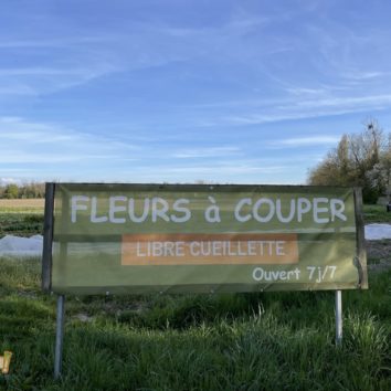 Fleurs à couper : les Robertsauviens adorent !