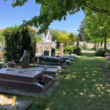 Cimetière Saint Louis : il se met au vert !