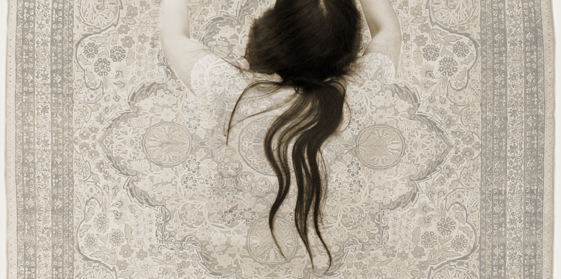 Exposition « A un cheveu près – Babak Kazemi – Maryam Firuzi » à l’Espace Apollonia