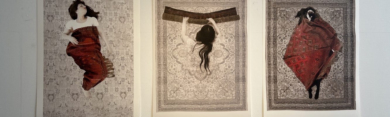 Visite de l’extraordinaire exposition « A un cheveu près – Babak Kazemi – Maryam Firuzi » à l’Espace Apollonia