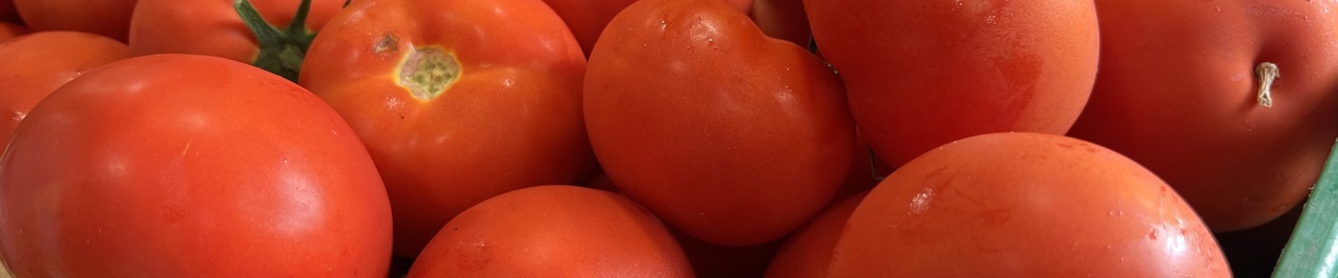 Coup de foudre pour les tomates (bios) de la Robertsau !