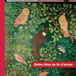 Le journal de votre quartier publié par l’ADIR, l’Echo de la Robertsau 297 vient de sortir