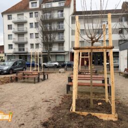 Cours Saint-Louis : les derniers arbres avant les plantes basses