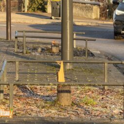 Quand certains agriculteurs ne respectent pas la nature...