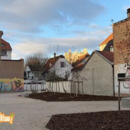 Animations aux cours Saint-Louis pour les dernières plantations de printemps jeudi 5 mars 2026