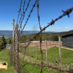 Conférence de Frédérique Neau-Dufour : Le Struthof 1944-1945 un camp pour épurer l’Alsace