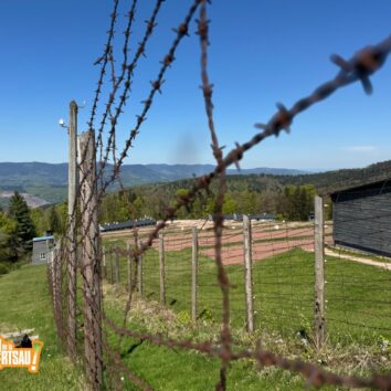 Conférence de Frédérique Neau-Dufour : Le Struthof 1944-1945 un camp pour épurer l’Alsace