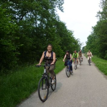 Sortie nature du CINE de Bussierre : découvrez le PNU Ill-Rhin