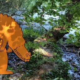 Balade artistico-pédagogique en réserve naturelle de la Robertsau