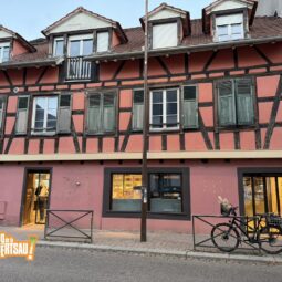 Pluie de médailles pour la boulangerie - pâtisserie Du Blé au Pain